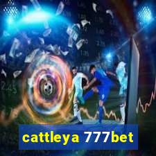 cattleya 777bet